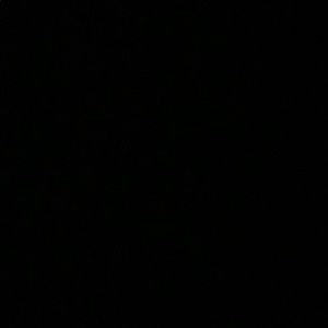 Meet your Posher, Kinley